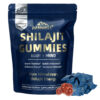 PANWELL Shilajit Gummies with Ashwagandha, Seamoss & Turmeric | Zero Sugar Energy, Cortisol Balance, Sleep, Immune & Overall Health Support – for Men & Women 90 Gummies